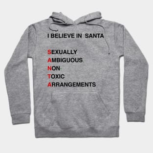 I Believe in santa Hoodie